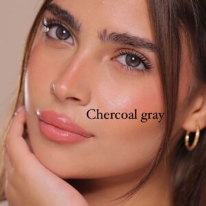 Daily lenses Chercoal gray