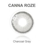 Charcoal Gray Daily Lens-1Pair-DIA14mm - Image 3
