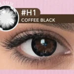 Coffee Black 6-Month Lens