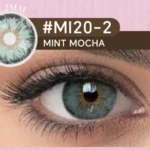 Mint Mocha 6-Month Lens