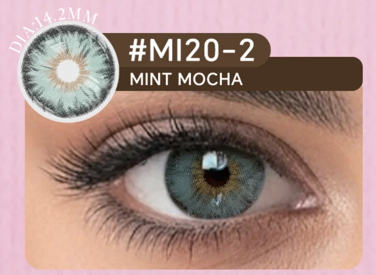 Mint Mocha 6-Month Lens