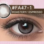 Roastery Espresso 6-Month Lens