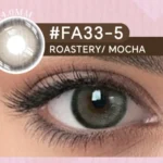 Roastery Mocha 6-Month Lens