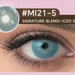 Signature Blend Iced Gray 6-Month Lens