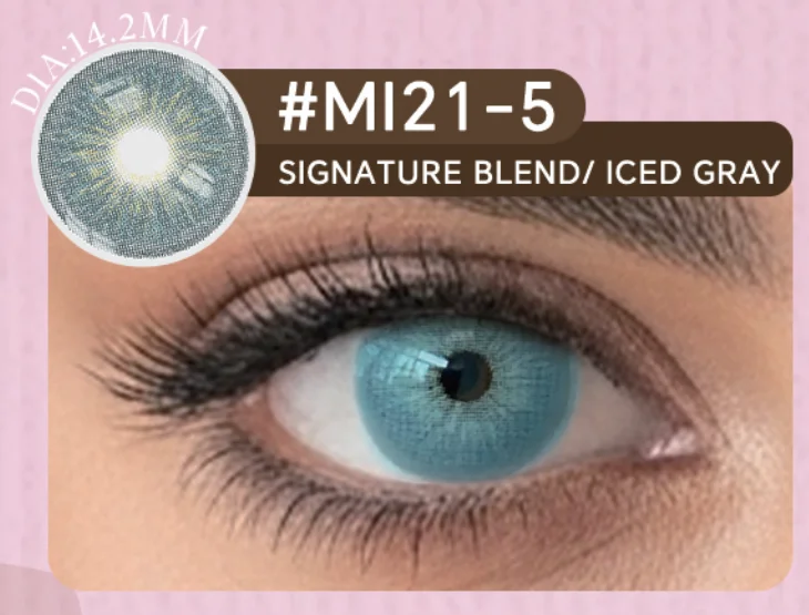 Signature Blend Iced Gray 6-Month Lens